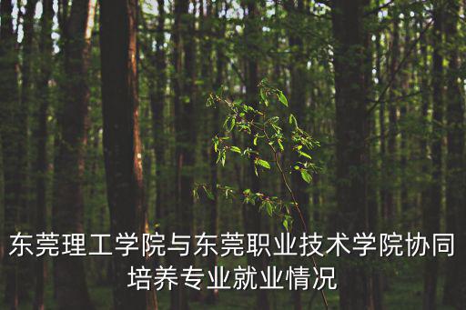 東莞理工學(xué)院與東莞職業(yè)技術(shù)學(xué)院協(xié)同培養(yǎng)專業(yè)就業(yè)情況