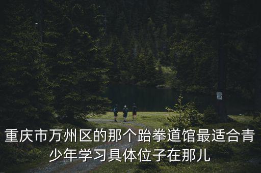 重慶市萬州區(qū)的那個(gè)跆拳道館最適合青少年學(xué)習(xí)具體位子在那兒