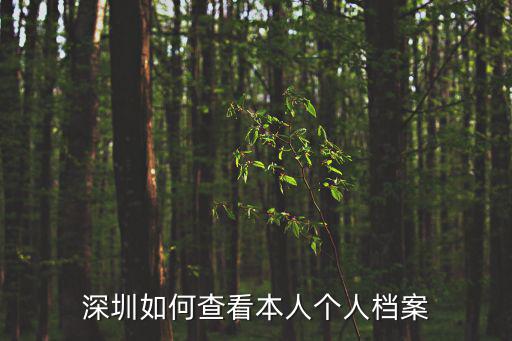 深圳如何查看本人個人檔案