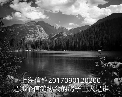 上海信鴿2017090120200是哪個信鴿協(xié)會的鴿子主人是誰