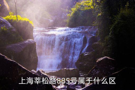 上海莘松路885號屬于什么區