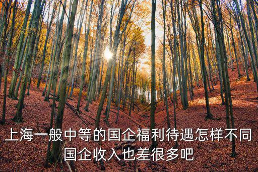 上海一般中等的國企福利待遇怎樣不同國企收入也差很多吧