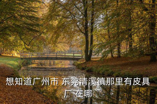 想知道廣州市 東莞清溪鎮那里有皮具廠 在哪