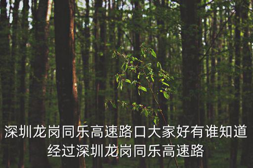 深圳龍崗同樂高速路口大家好有誰知道經過深圳龍崗同樂高速路