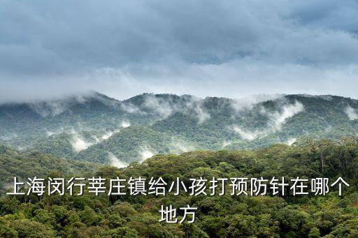 上海閔行莘莊鎮給小孩打預防針在哪個地方