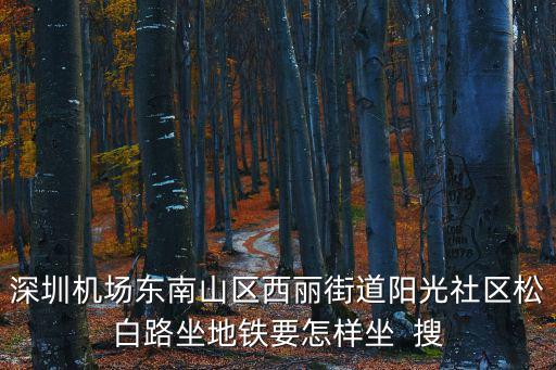 深圳機場東南山區西麗街道陽光社區松白路坐地鐵要怎樣坐  搜