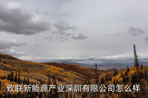 深圳市致聯(lián)科技有限公司，致聯(lián)技術(shù)深圳有限公司怎么樣