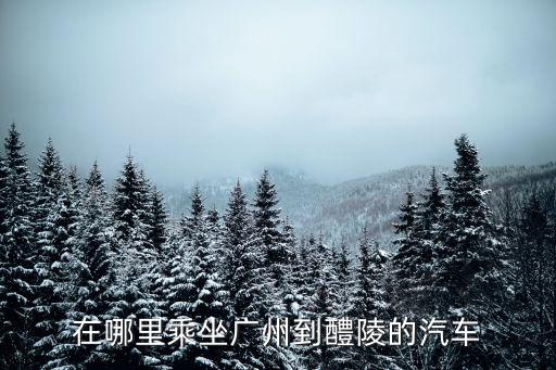 廣州到醴陵的車票，在哪里乘坐廣州到醴陵的汽車
