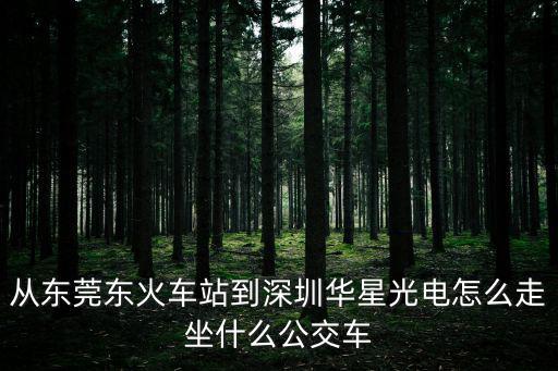 東莞西到華星光電，求助從東莞松山湖聚信科技到深圳光明區華星光電有沒有公共汽車