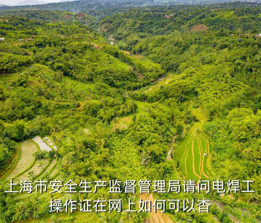 上海市安全生產監督管理局請問電焊工操作證在網上如何可以杳