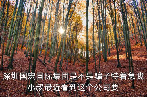 深圳航海縱橫有限公司，深圳有沒有航海工司