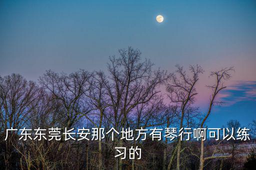 廣東東莞長安那個(gè)地方有琴行啊可以練習(xí)的