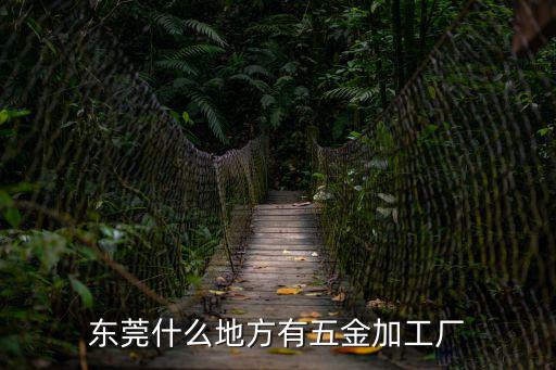 東莞高睹昌五金加工廠，東莞那個地方五金廠比較集中