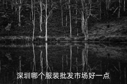 深圳哪個服裝批發市場好一點