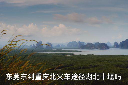 東莞東到重慶北火車途徑湖北十堰嗎