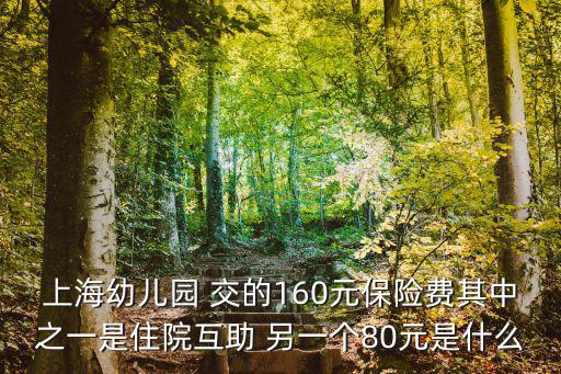 上海幼兒園 交的160元保險費其中之一是住院互助 另一個80元是什么