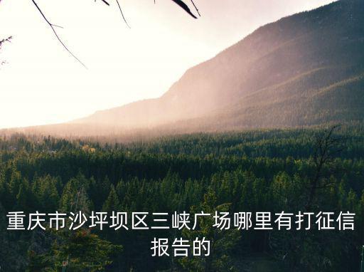 重慶市沙坪壩區哪里可以打征信報告，重慶 怎樣查征信記錄