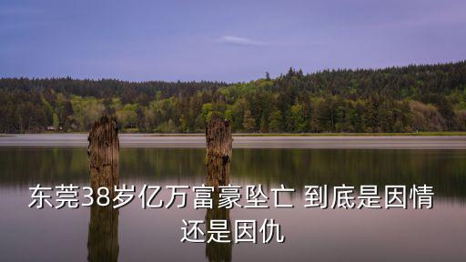 2020年東莞一男子墜樓，東莞38歲億萬富豪墜亡 到底是因情還是因仇