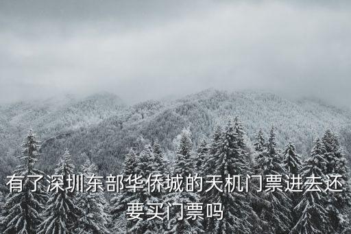 深圳東部華僑城天機，有了深圳東部華僑城的天機門票進去還要買門票嗎