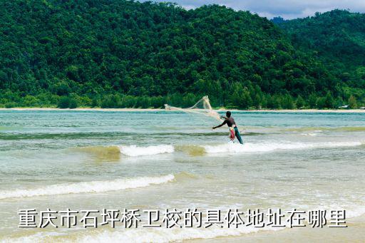 重慶市九龍坡皇庭珠寶四樓盤(pán)龍正街，重慶謝家灣小學(xué)相隔重慶田家炳中學(xué)有多遠(yuǎn)