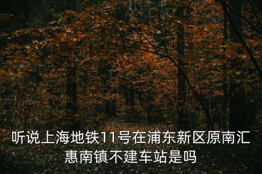 聽說上海地鐵11號在浦東新區原南匯惠南鎮不建車站是嗎
