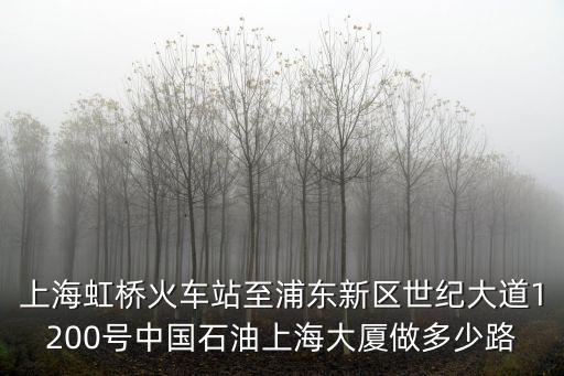 上海虹橋火車站至浦東新區世紀大道1200號中國石油上海大廈做多少路