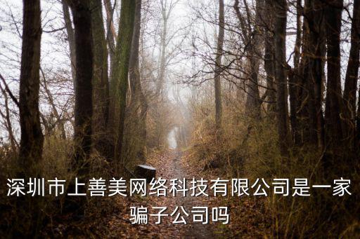 深圳市上善美網絡科技有限公司是一家騙子公司嗎
