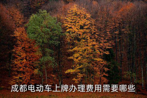 成都市新國標電動自行車上牌，成都電瓶車上牌照的具體流程