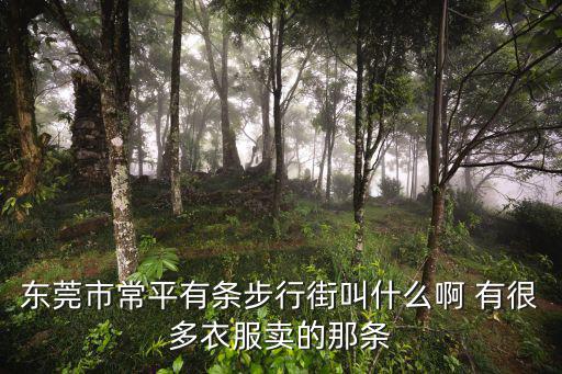 東莞常平死城，東莞常平掃黃后生意蕭條明年能好些嗎
