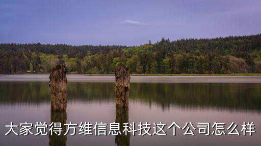 大家覺得方維信息科技這個(gè)公司怎么樣