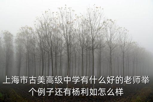 上海市古美高級(jí)中學(xué)有什么好的老師舉個(gè)例子還有楊利如怎么樣