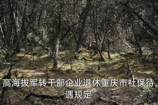 高海拔軍轉干部企業退休重慶市社保待遇規定