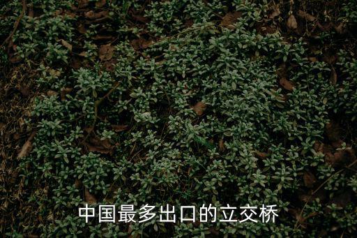 中國最多出口的立交橋