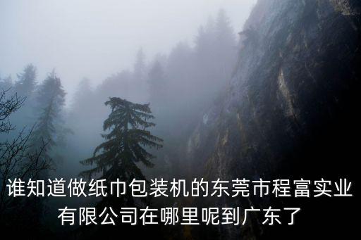 誰知道做紙巾包裝機的東莞市程富實業有限公司在哪里呢到廣東了