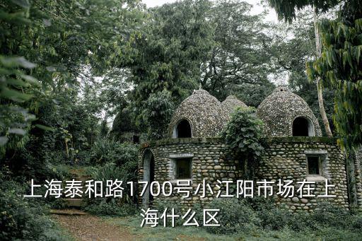 上海泰和路1700號小江陽市場在上海什么區