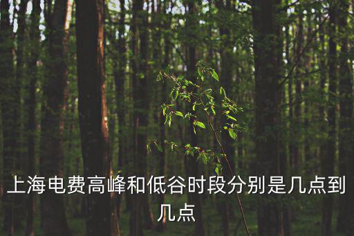 上海市政府明電，上海民用電價是多少