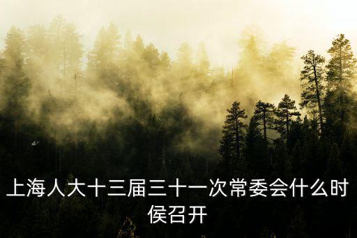 上海人大十三屆三十一次常委會什么時侯召開