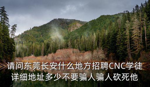 請問東莞長安什么地方招聘CNC學徒詳細地址多少不要騙人騙人砍死他