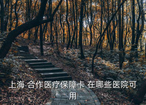 上海 合作醫療保障卡 在哪些醫院可用