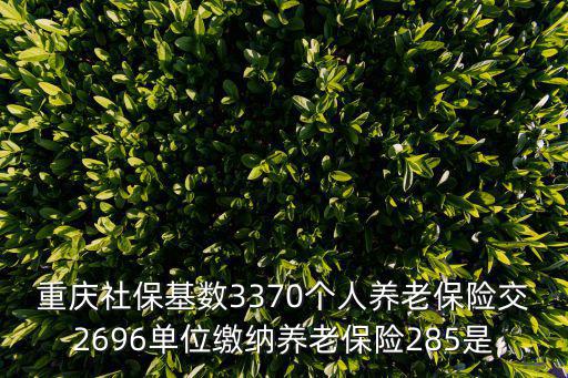 重慶社?；鶖?370個人養老保險交2696單位繳納養老保險285是