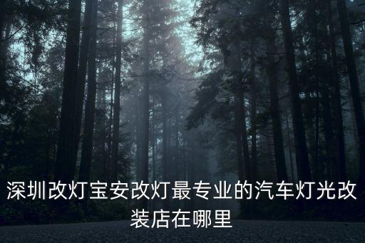 鄰居大媽深圳換燈，如果租房的鄰居叫你去換電燈以前也不認識她是個女的她是什么想法