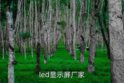 深圳led 大屏公司，led顯示屏廠家