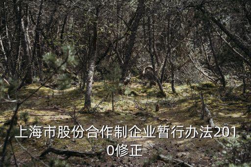 上海市股份合作制企業暫行辦法2010修正