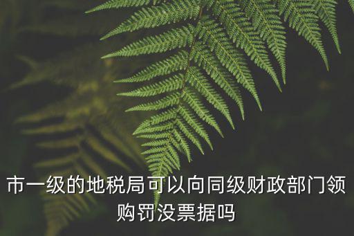 市一級的地稅局可以向同級財政部門領購罰沒票據嗎