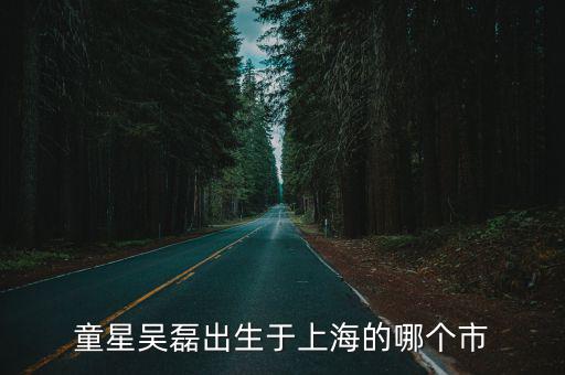 童星吳磊出生于上海的哪個市