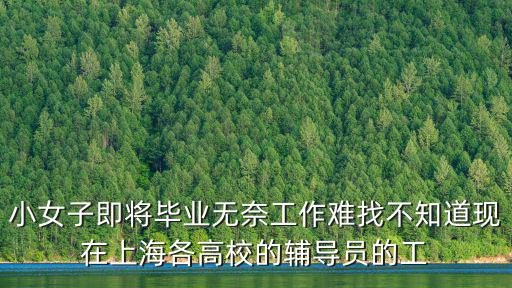 小女子即將畢業無奈工作難找不知道現在上海各高校的輔導員的工