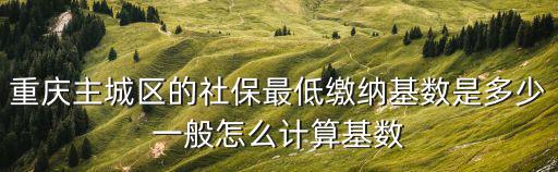 重慶主城區的社保最低繳納基數是多少一般怎么計算基數
