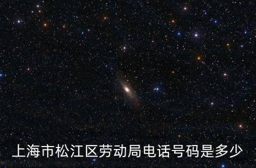 上海市松江區(qū)勞動局電話號碼是多少