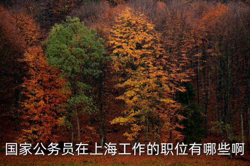 國家公務員在上海工作的職位有哪些啊