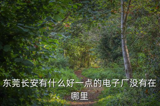 東莞長安有什么好一點的電子廠沒有在哪里